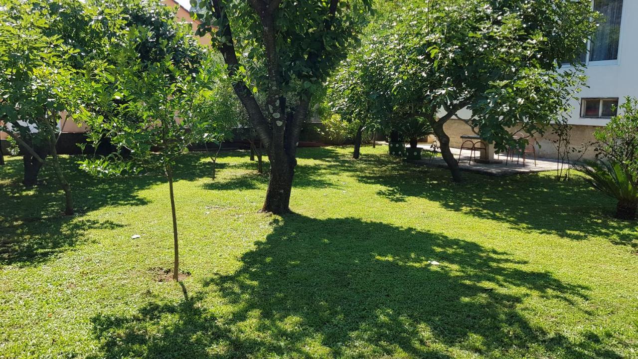 Apartment Angel Kotor Luaran gambar